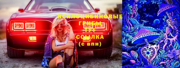 прущие крисы Алексеевка