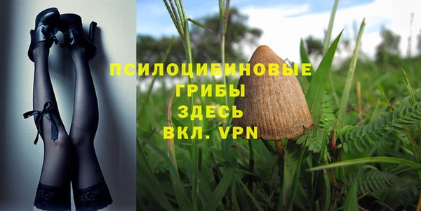 прущие крисы Алексеевка
