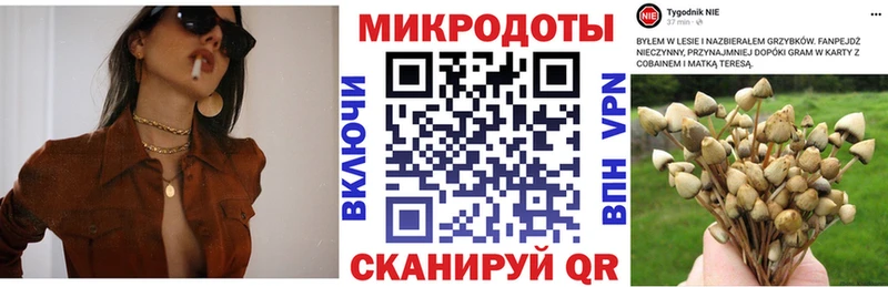 MEGA вход  Невьянск  Псилоцибиновые грибы мицелий 